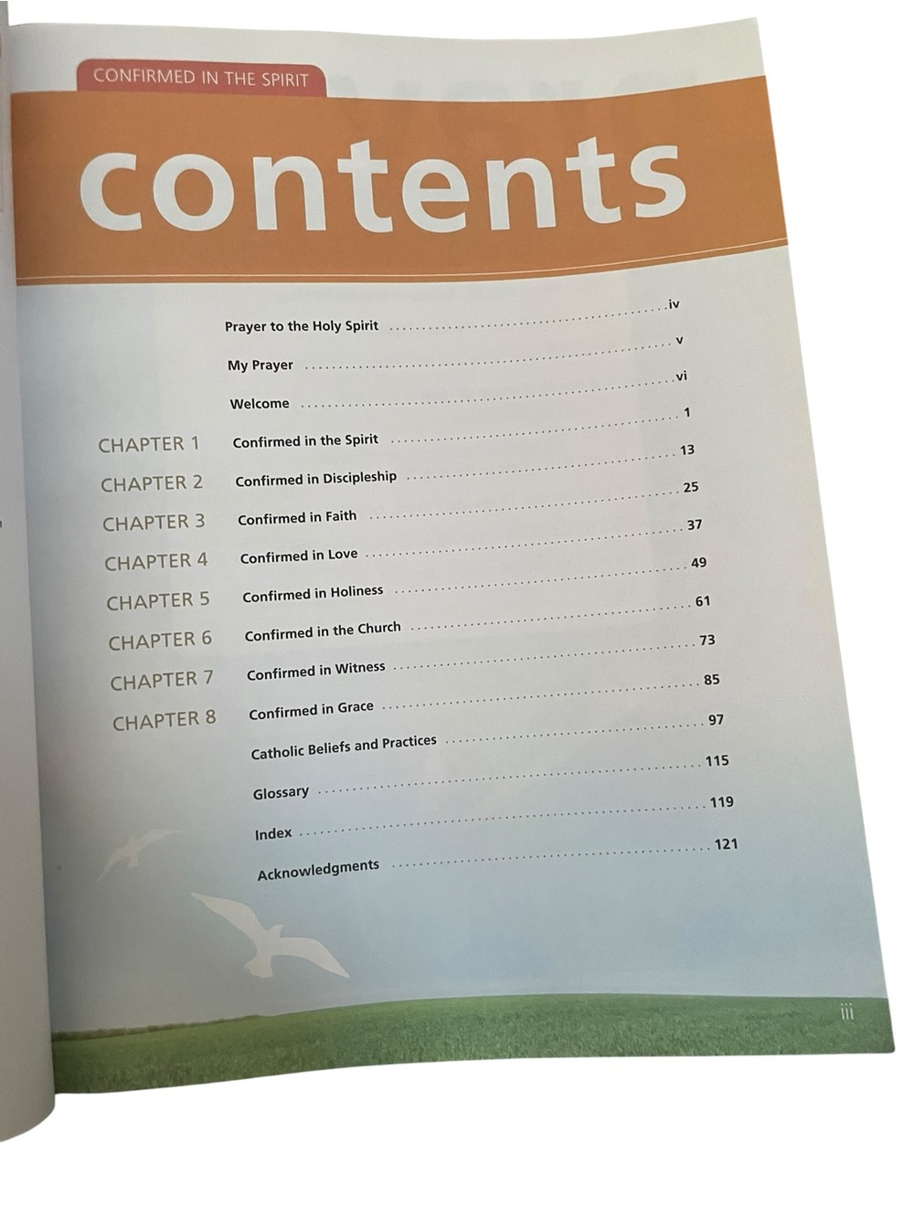 Confirmed in the Spirit Workbook - Picture 3 of 4